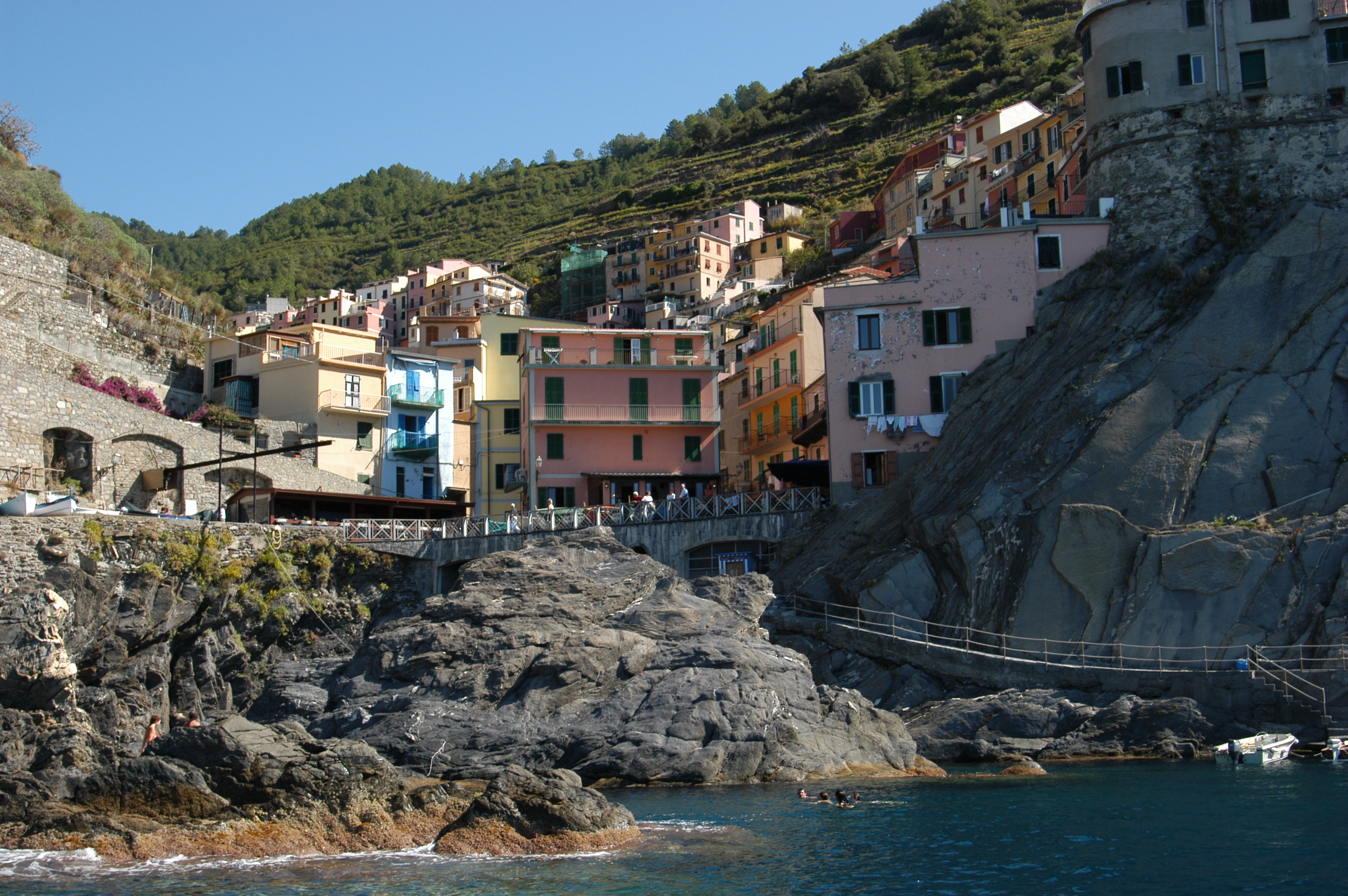 M�������